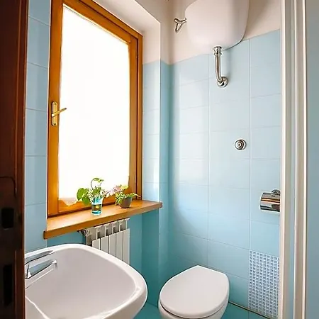 Selvicolle Camerino