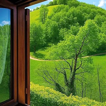 Selvicolle Hotel Camerino